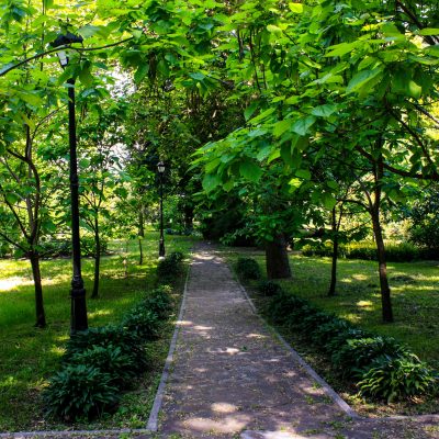 Городской сад Парк в Киеве