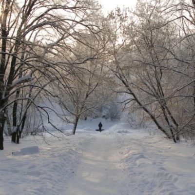 Лесопарк в Харькове