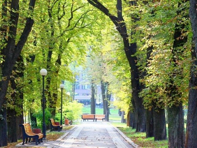 Мариинский парк в Киеве