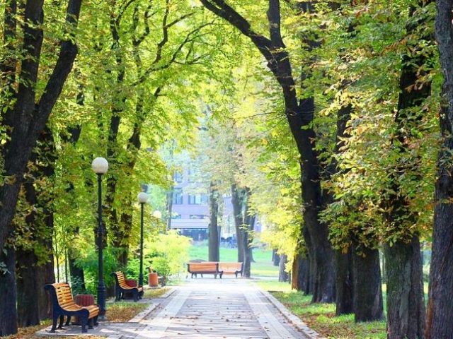 Мариинский парк в Киеве
