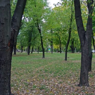 Парк ДШК в Киеве