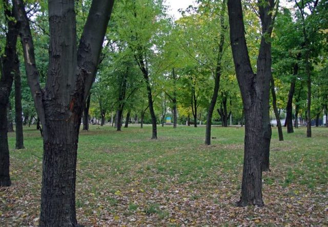 Парк ДШК в Киеве