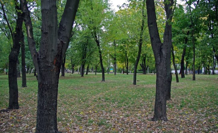 Парк ДШК в Киеве