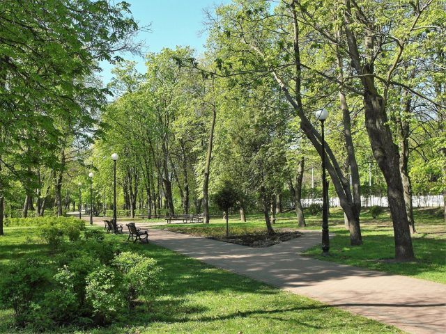 Парк имени Николая Зерова в Киеве