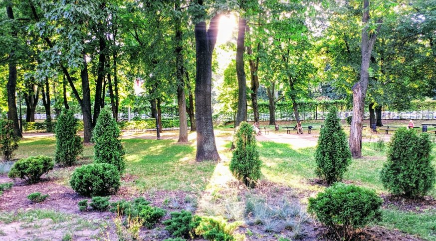 Park ymeny Nykolaya Zerova in Kyiv