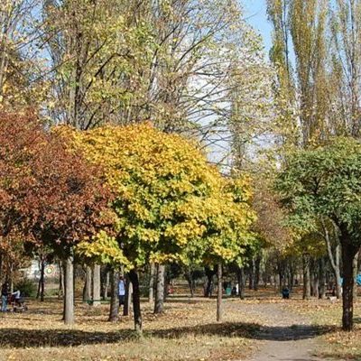 Парк Юность в Киеве