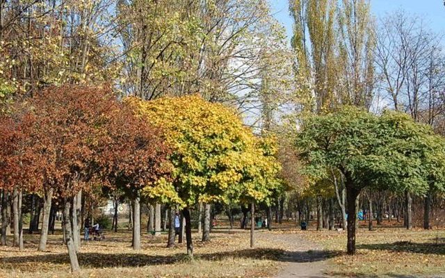 Парк Юность в Киеве