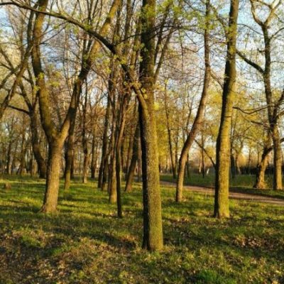 Парк “Карякин сад” в Харькове