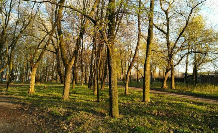 Park “Karyakyn sad” in Kharkiv