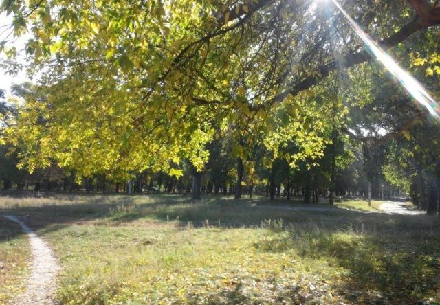 Парк “Карякин сад” в Харькове
