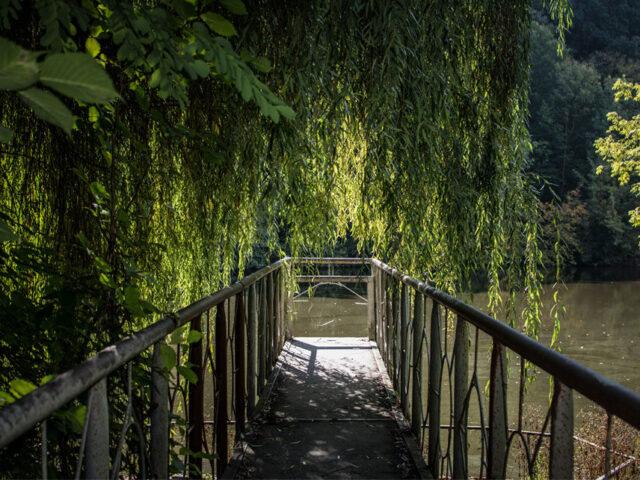 Park Kytaevo in Kyiv