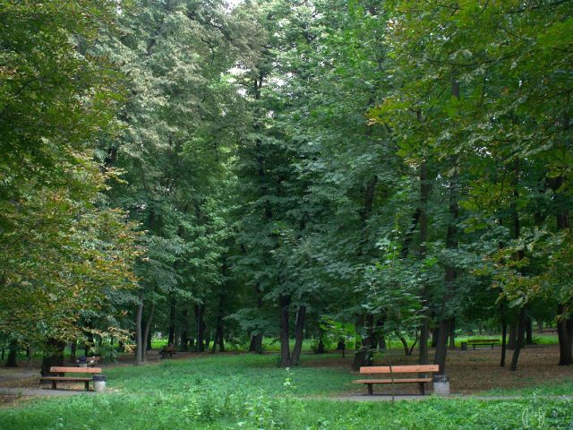 Политехнический парк ( Парк КПИ) в Киеве