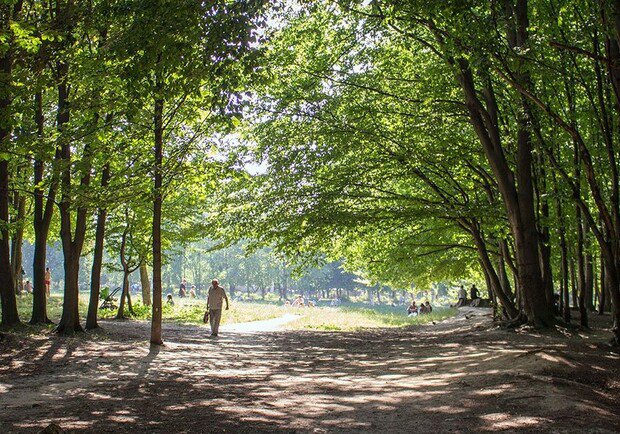 Park Orekhovyi hai in Lviv