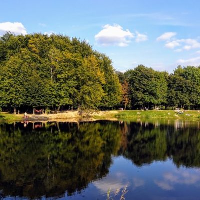 Парк Ореховый гай во Львове