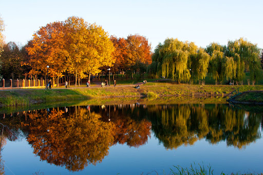 Park «Otradnyi» in Kyiv