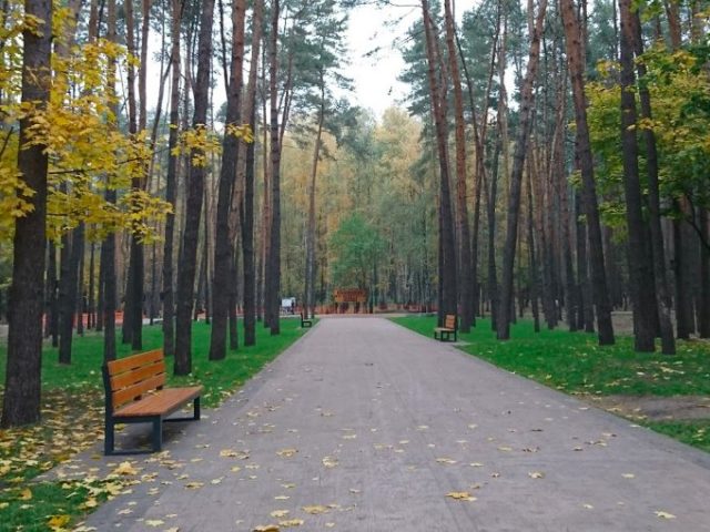 Парк «Совки» в Киеве