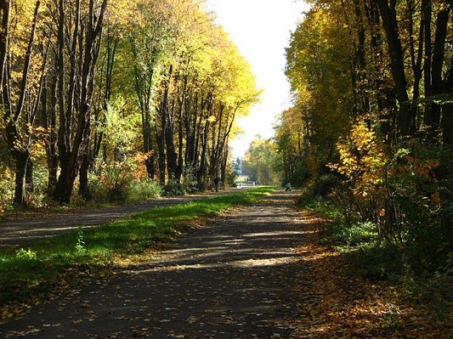 Снопковский парк во Львове