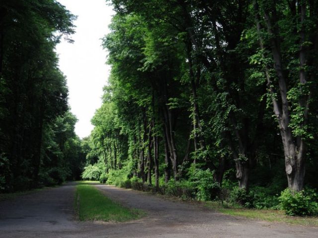 Снопковский парк во Львове