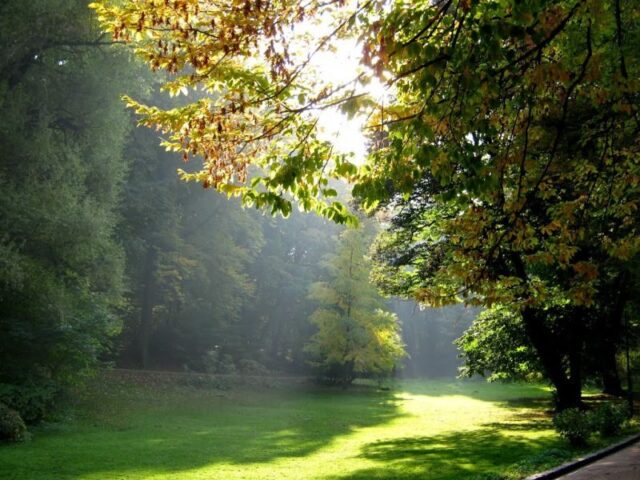 Stryiskyi Park in Lviv