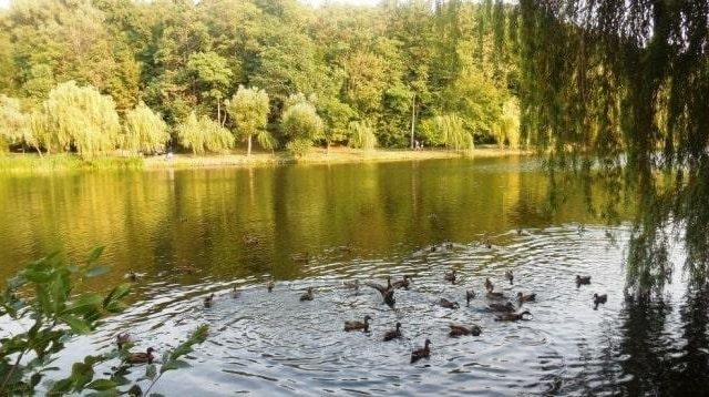 Голосеевский Парк имени М.Т.Рыльского в Киеве