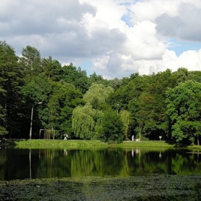 Holoseevskyi Park ymeny M.T.Rylskoho in Kyiv