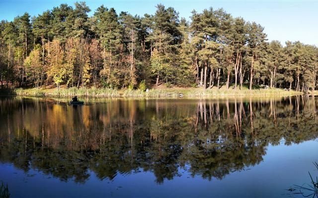 Голосеевский Парк имени М.Т.Рыльского в Киеве