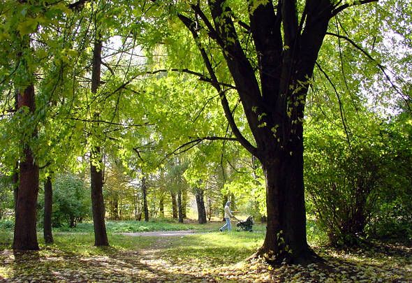 Лычаковский парк во Львове