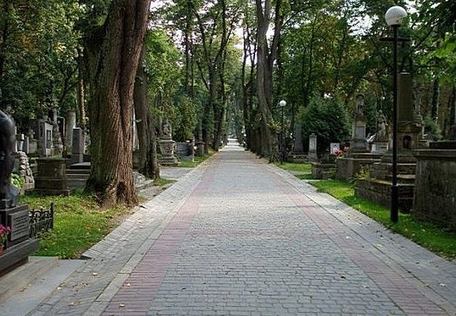 Лычаковский парк во Львове