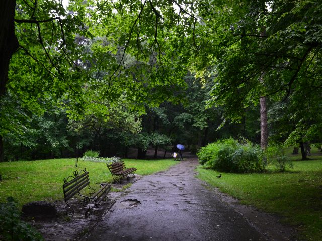 Лычаковский парк во Львове
