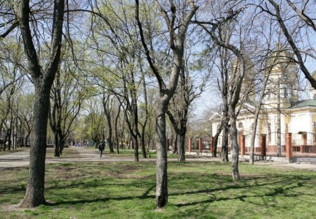 Парк Алексеевский сквер в Одессе