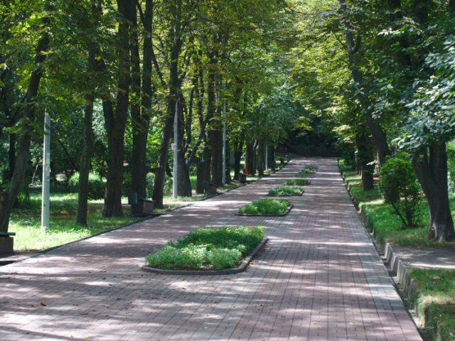 Park Beryozovaya Roshcha in Kyiv