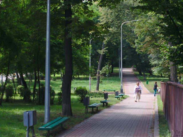 Парк Берёзовая Роща в Киеве