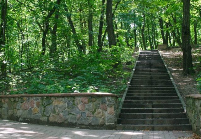 Парк Берёзовая Роща в Киеве