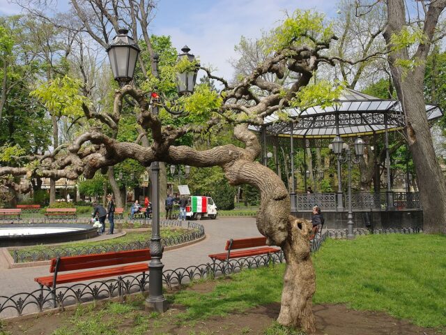 Парк Городской сад в Одессе