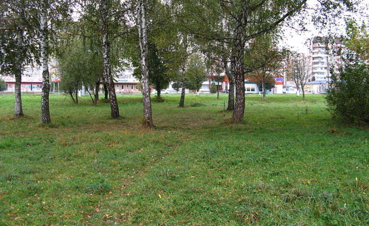 Park ymeny 700-letyya of Lviv in Lviv