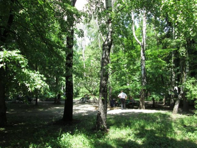 Парк имени Богомольца у Києві