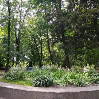 Парк имени Богомольца у Києві