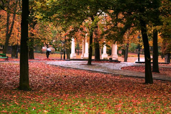 Park ymeny Yvana Franko in Lviv