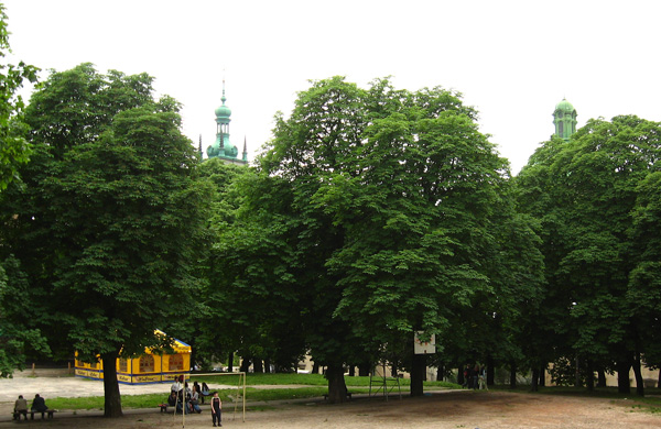 Park Na valakh in Lviv