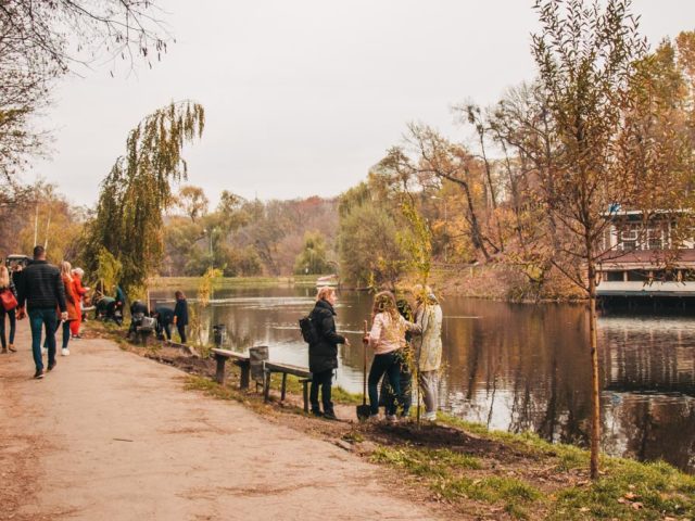 Парк Нивки в Киеве