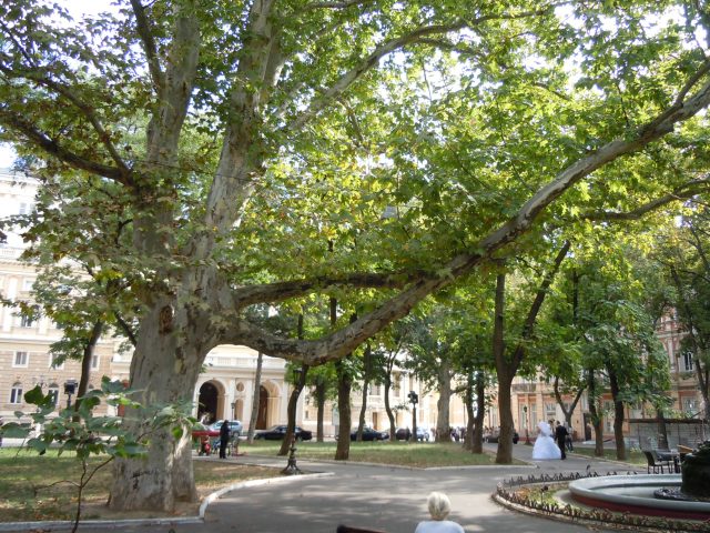 Park «Pale-Royal» in Odesa