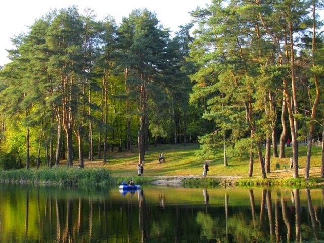 Парк Партизанской славы в Киеве
