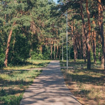 Парк Партизанской славы в Киеве