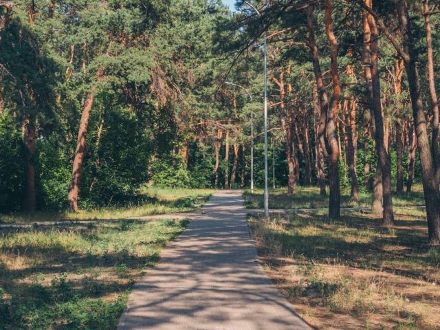 Парк Партизанской славы в Киеве