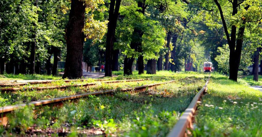 Park Pushcha-Vodytsa in Kyiv