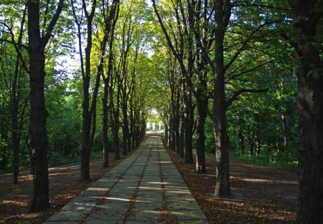 Парк Спутник в Киеве