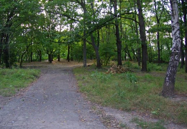 Парк Спутник в Киеве