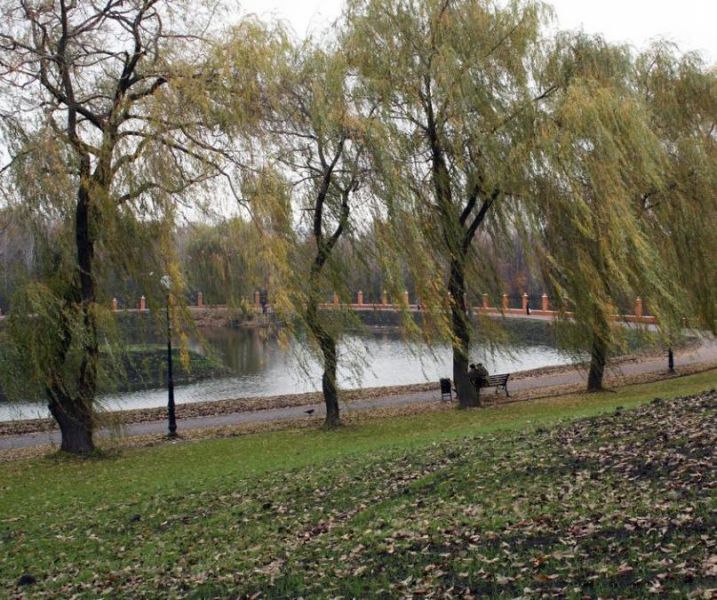 Парк Тельбин в Киеве