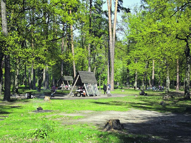 Парк Виноградарь в Киеве
