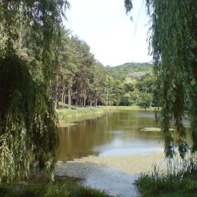 Парк Виноградарь в Киеве